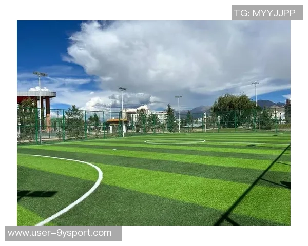 河南足球草坪建设与维护的现状分析及未来发展趋势探讨